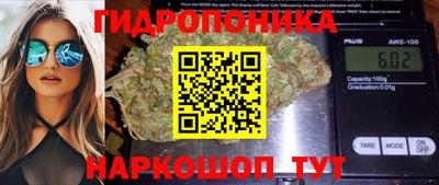 spice Изобильный