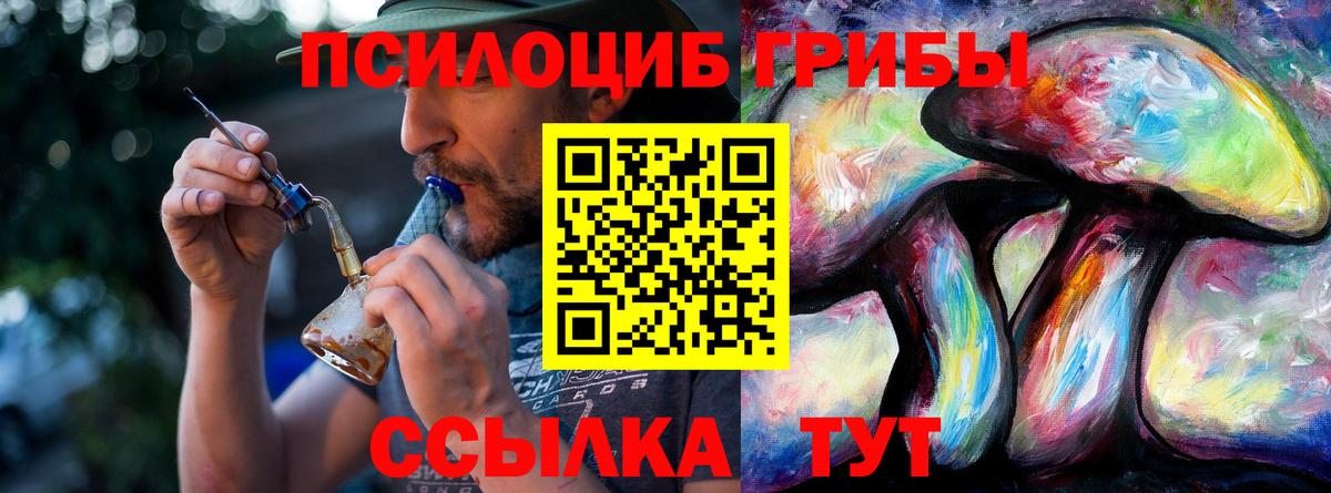 Кстово  Галлюциногенные грибы Cubensis  Вход с VPN  Псилоцибиновые грибы мицелий 